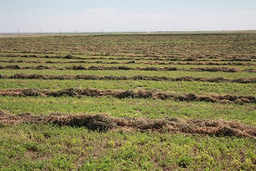 Property photo 119 - LAND AUCTION, 3255+/- Acres offered in 13 Tracts